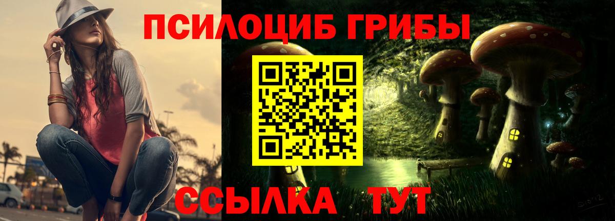 наркота  Галлюциногенные грибы Psilocybe  Баксан  Вход с VPN  Галлюциногенные грибы ЛСД 